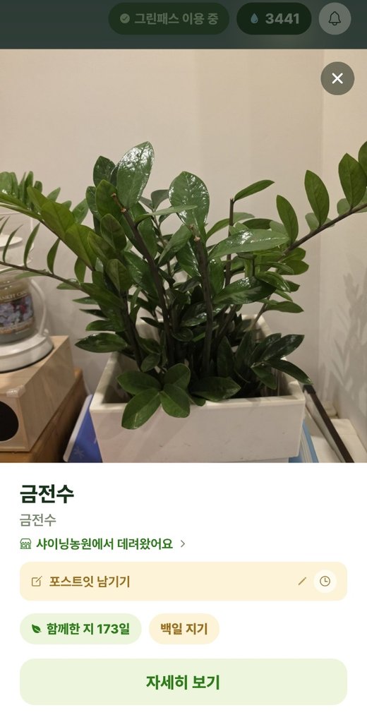 식물 화면에 표시된 구매처
